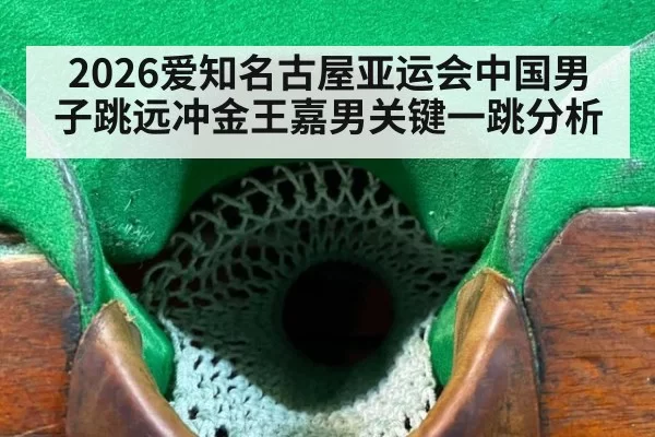 2026爱知名古屋亚运会中国男子跳远冲金王嘉男关键一跳分析